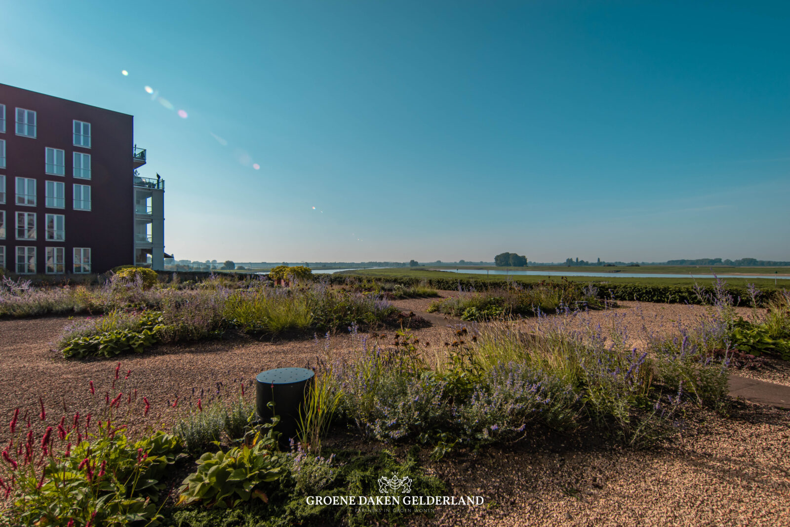 Daktuin ziekenhuis - Groene Daken Gelderland