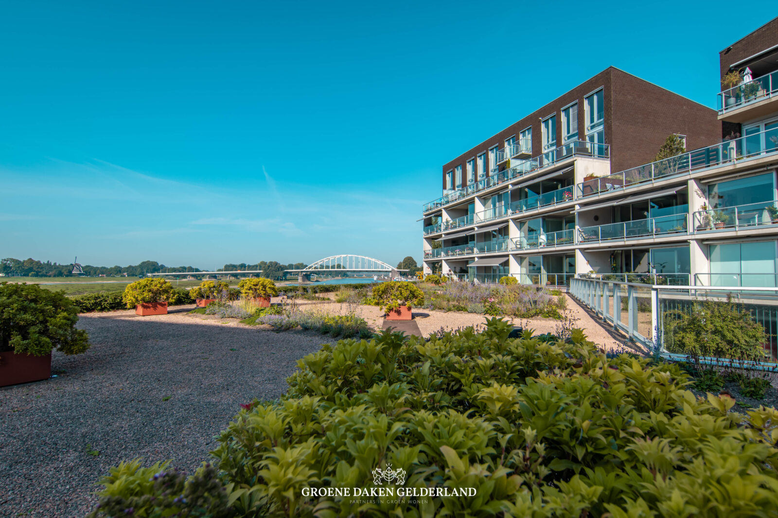 Appartementen daktuin - Groene Daken Gelderland