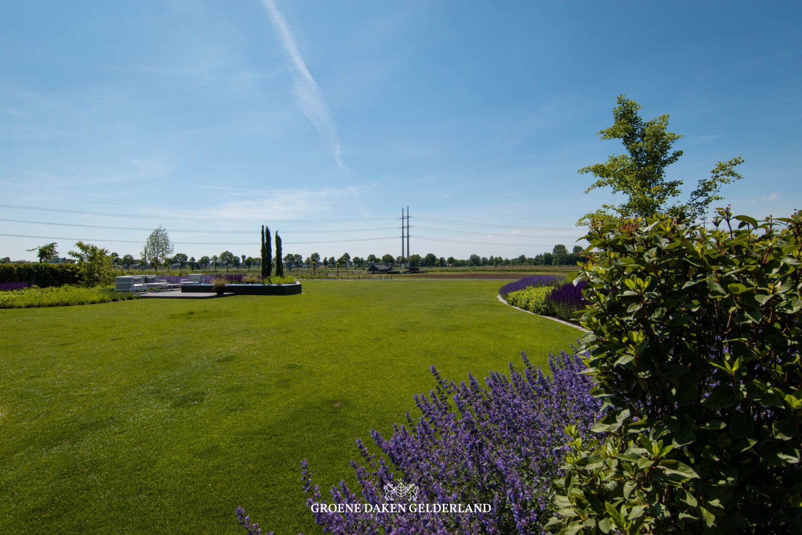 Voorjaar daktuin - Groene Daken Gelderland