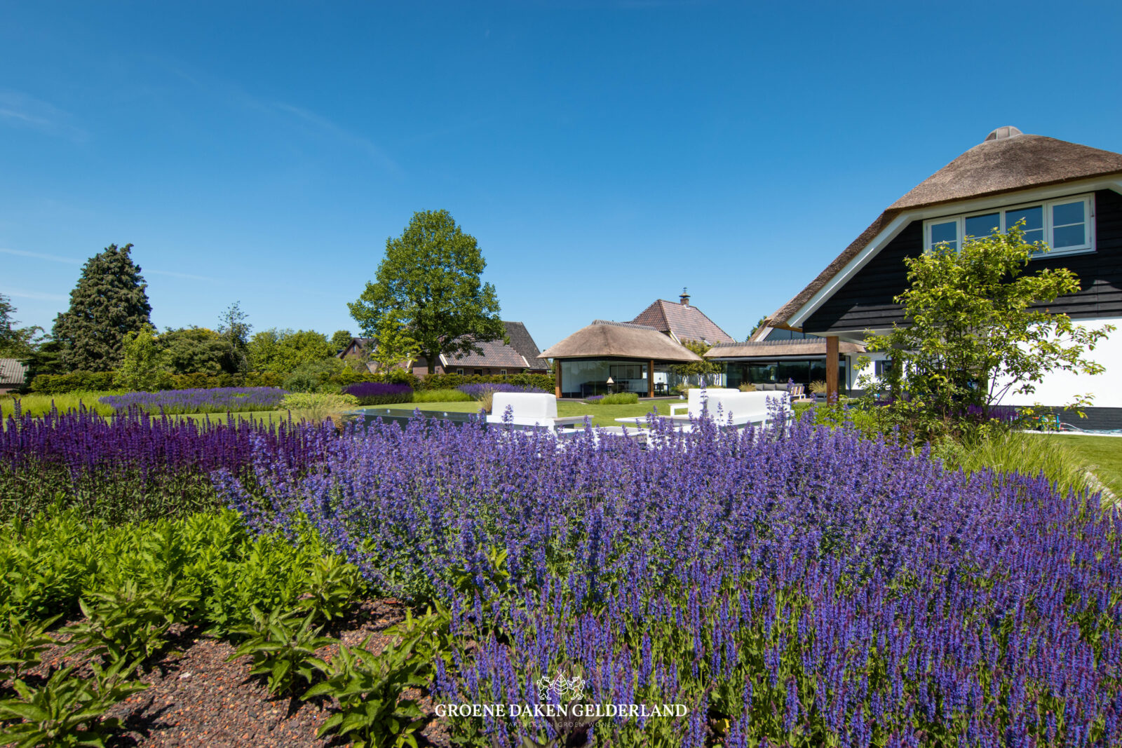 Tuin - Groene Daken Gelderland