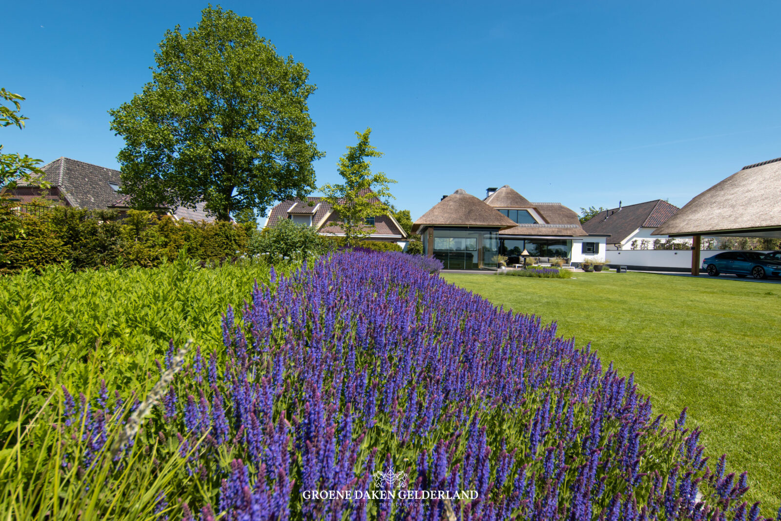 Plantvak - Groene Daken Gelderland