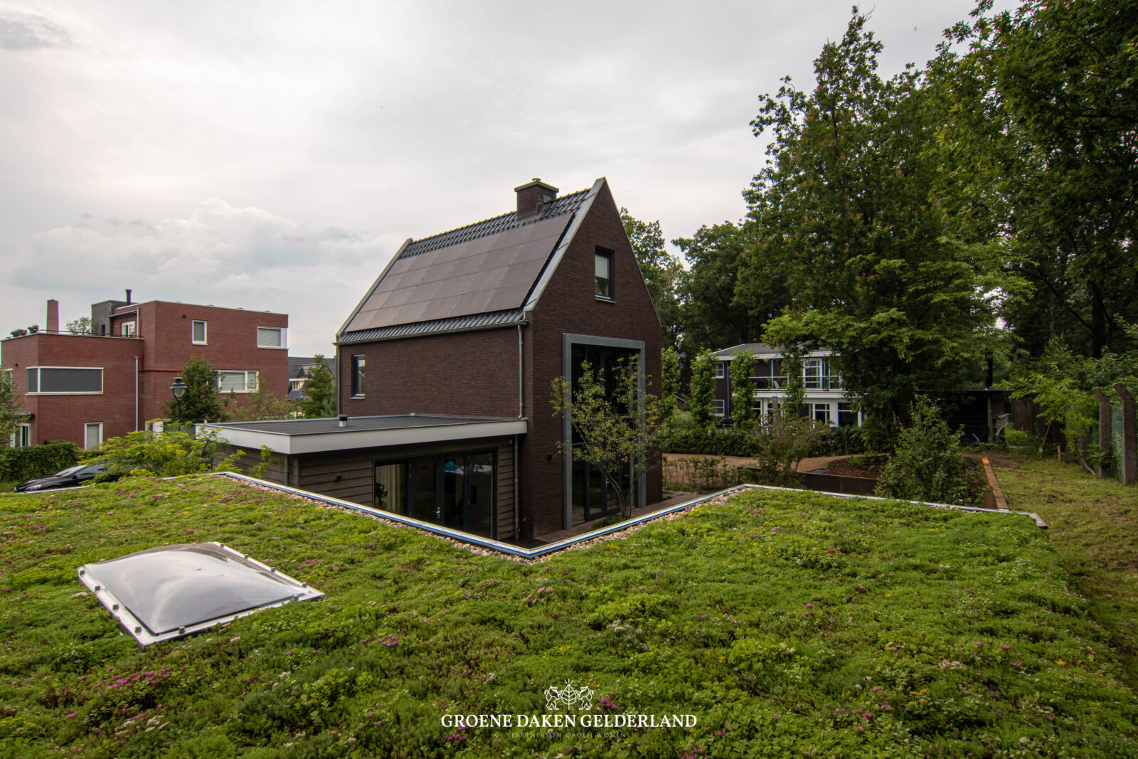 Overkapping daktuin sedumdak - Groene Daken Gelderland