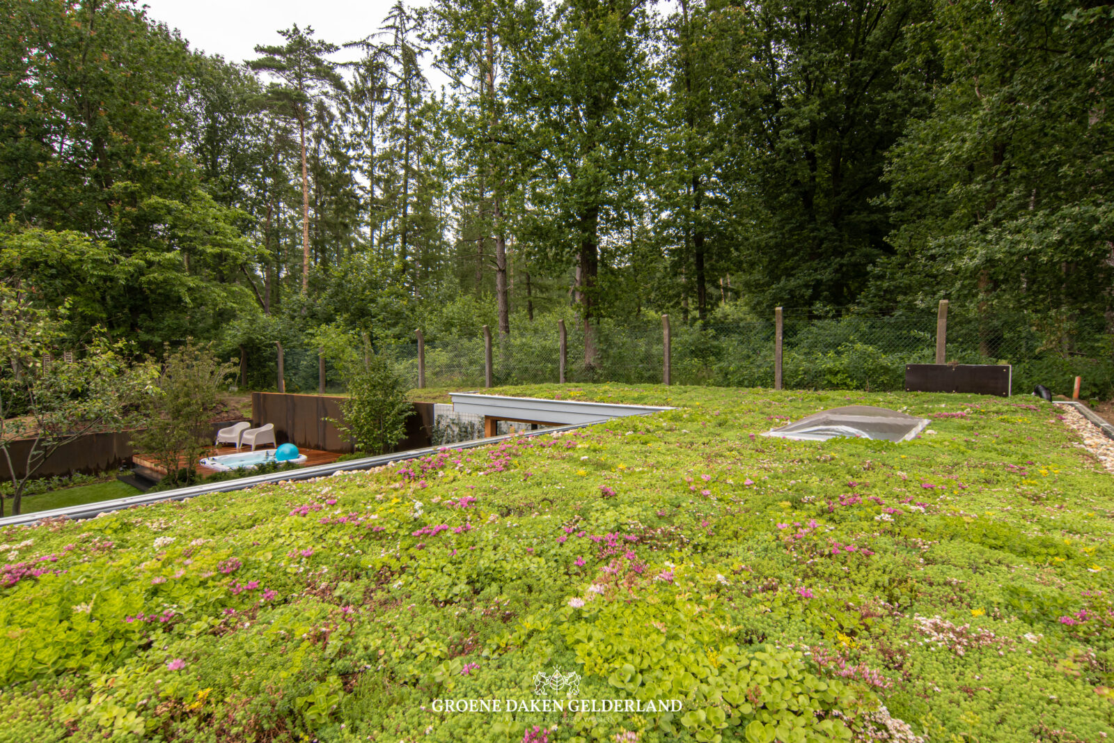 Wellness daktuin sedumdak - Groene Daken Gelderland