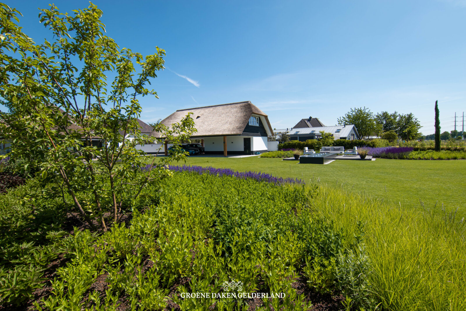 Duurzaam tuindak - Groene Daken Gelderland