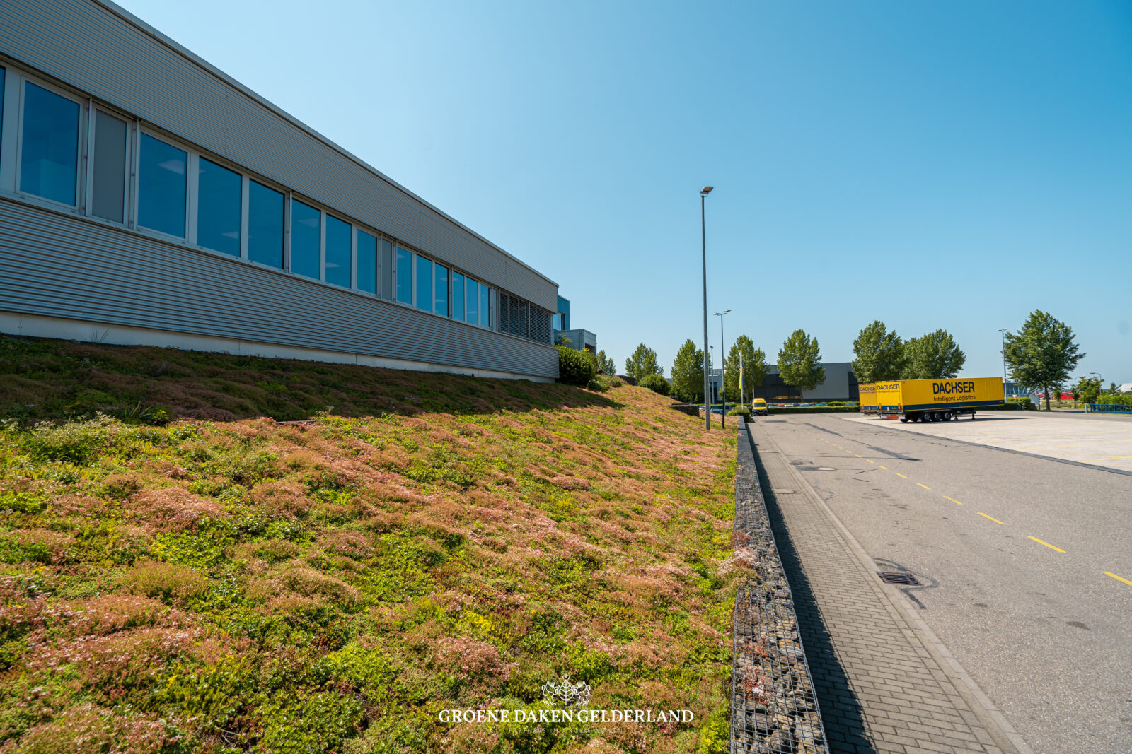 talud sedum groen dak groene dakbedekking