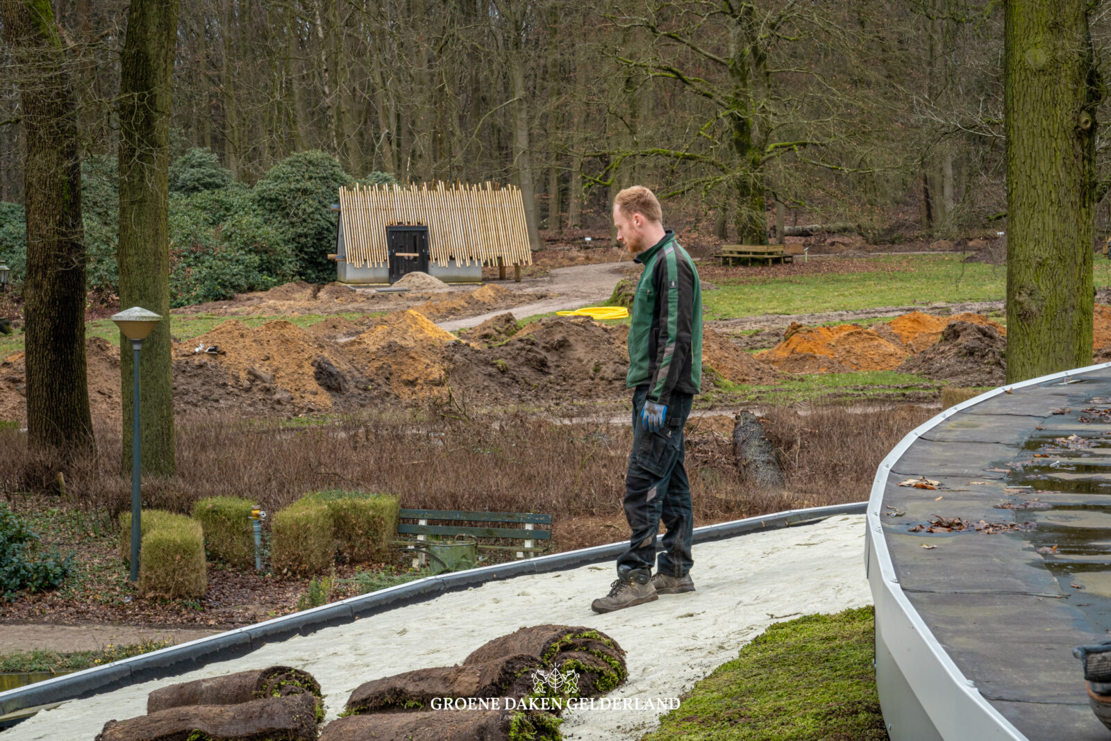 groen dak groendak sedum daktuin bekleding